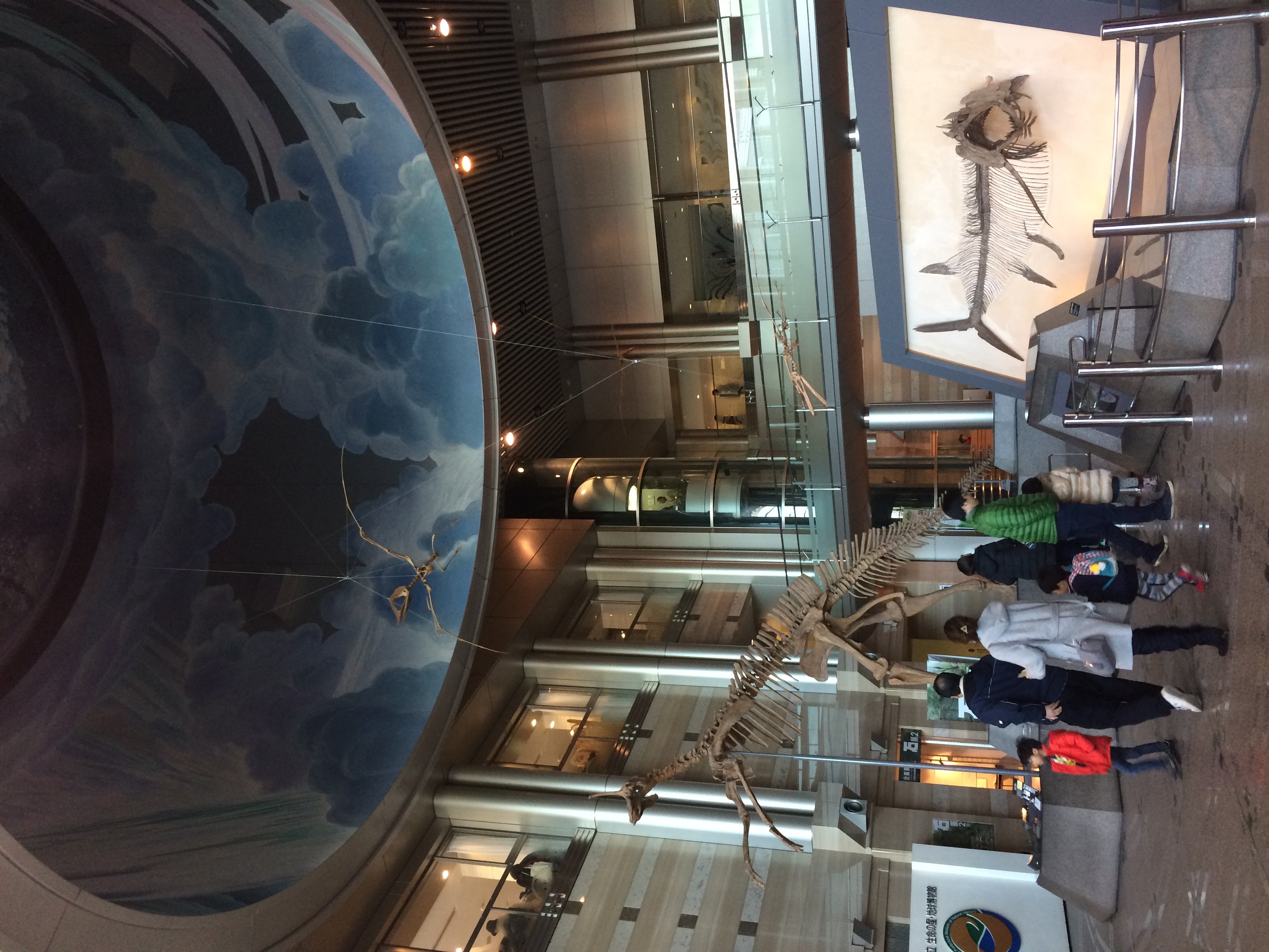 🏛️ 가나가와 현립 생명의 별・지구 박물관 (카나가와켄리츠 세이메이노호시 치큐하쿠부츠칸) 이미지 4